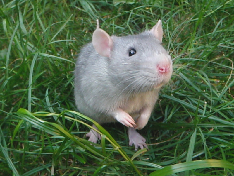 Klikni
pro uzavření